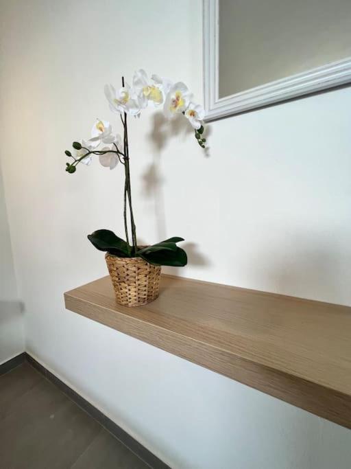 El Cercado Apartment Тинахо Екстериор снимка